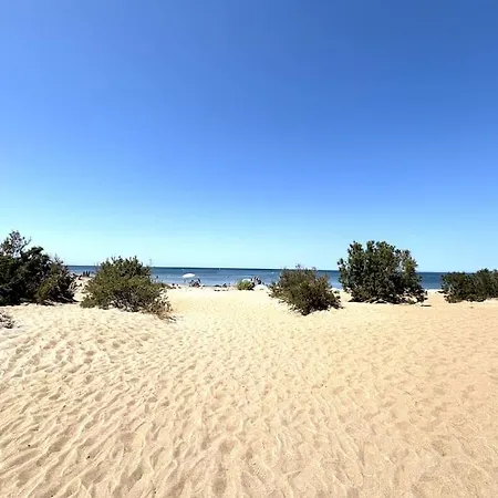 En Dianium Apartamento Dénia